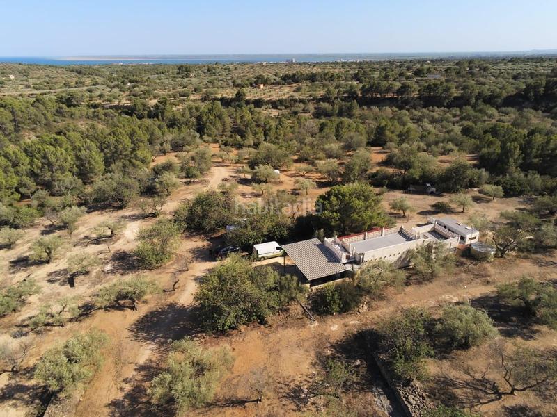 Foto c7273ac9-a9e1-4f64-91c2-8ce589d4e402. Masia amb piscina a Perelló (El)