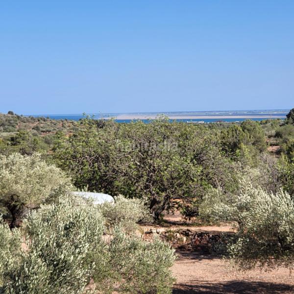 Foto e1ebd86f-ab6c-49a9-95fb-5c80ca3d9cde. Masia amb piscina a Perelló (El)