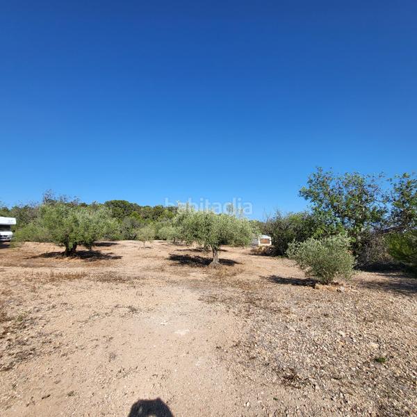 Foto e9378c13-9e5a-47f8-9fcc-9452c22114fe. Masia amb piscina a Perelló (El)