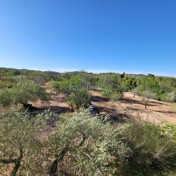 Foto f7c8fb16-67d2-4520-9f95-8a2bc2cbef9f. Masia amb piscina a Perelló (El)