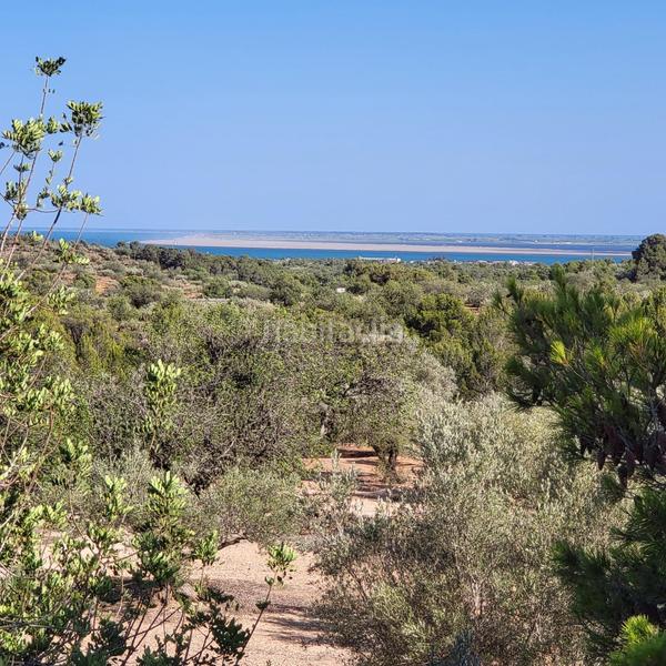 Foto fda595e5-8326-41f5-91fe-65b0c3b2422b. Masia amb piscina a Perelló (El)