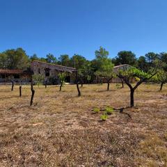 Masia a Perelló (El). Magnífica finca de 25.270 m2, con vivienda unifamiliar, de 192 m