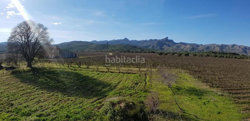 Foto 04a675fc-adbd-4638-9487-3087024f3924. Masia a Perelló (El)