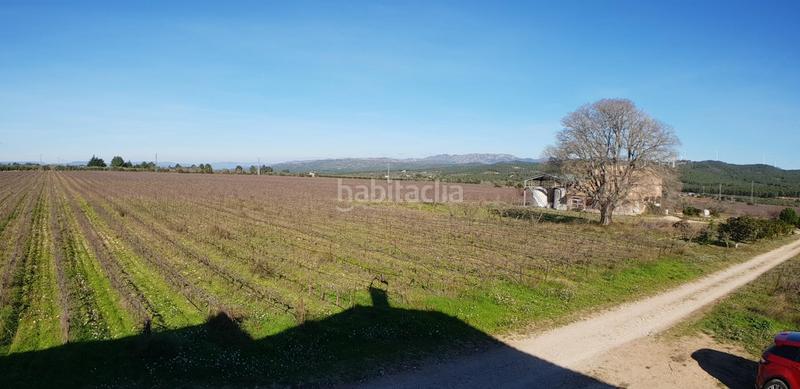 Foto 120350a7-c78e-4a99-ab3d-f44d2e1ace84. Masia a Perelló (El)