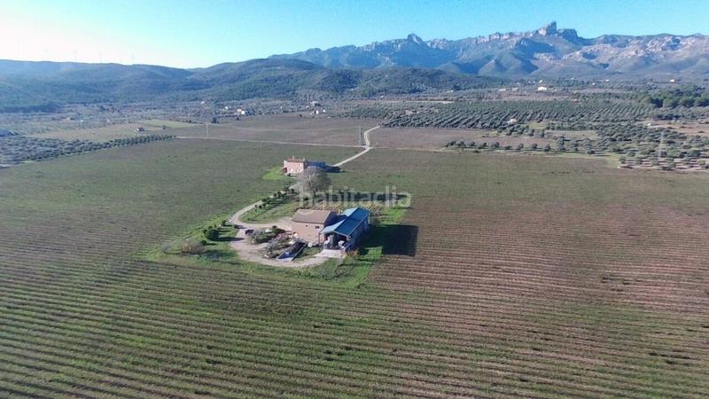 Foto 425dc66e-ebde-4603-bdba-ecaa3de9544c. Masia a Perelló (El)