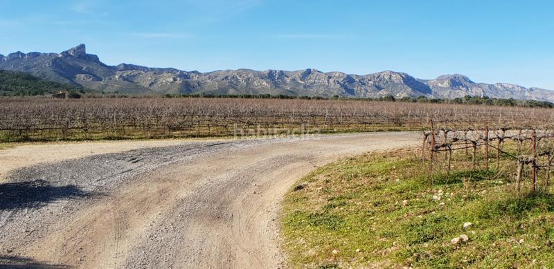 Foto 46ad74a6-9608-4ced-ba7a-6bca3ae748ce. Masia a Perelló (El)