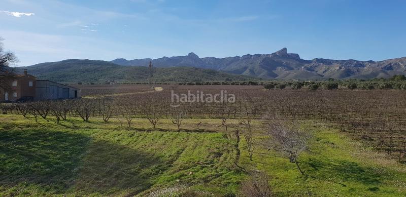 Foto 55021e00-2c27-42e8-a5e4-4a0b8e436ecc. Masia a Perelló (El)