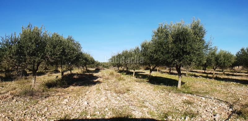 Foto 58e0560b-f4bc-47a6-bffc-4d9d3e1295ff. Masia a Perelló (El)