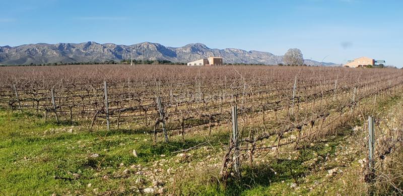 Foto 6b28aca5-c1f1-4702-b0e6-23b1f7678c43. Masia a Perelló (El)