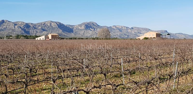 Foto 6cd302ee-a20c-4a82-bf08-64deef9a5775. Masia a Perelló (El)