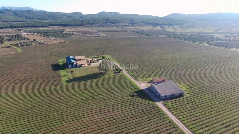 Foto 6d41c5f5-d74b-40b8-8bdf-f9054a959c37. Masia a Perelló (El)