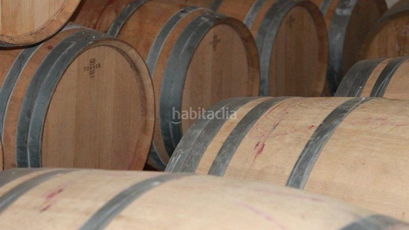 Foto 7033455d-95be-4dbc-b6ba-a1f2c6232a76. Masia a Perelló (El)