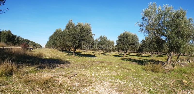 Foto 78147792-9008-4ae1-a235-810566f9e3cf. Masia a Perelló (El)