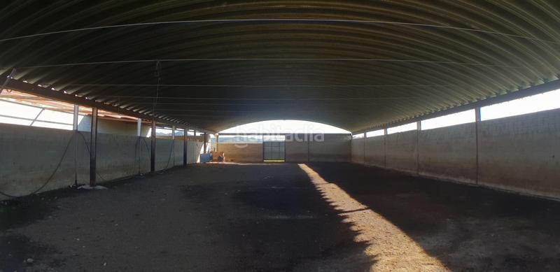 Foto 8724dbaa-6535-4631-bee0-c499f5924b86. Masia a Perelló (El)