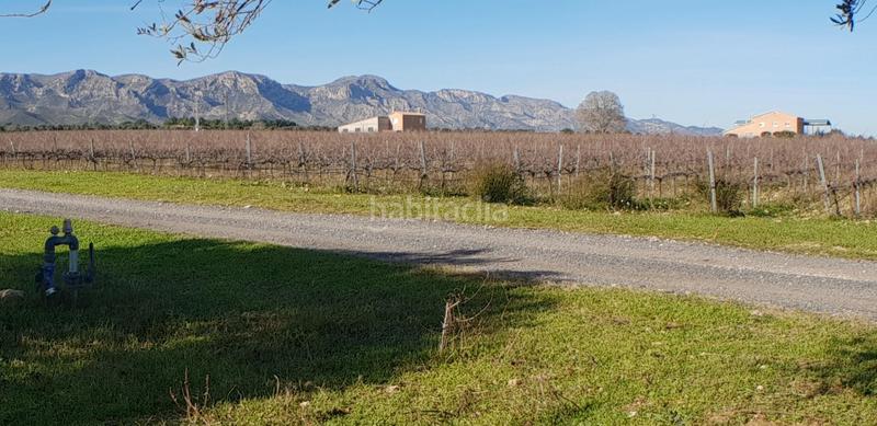 Foto 8da80385-ad25-4fbd-8d5b-81231fc85a82. Masia a Perelló (El)