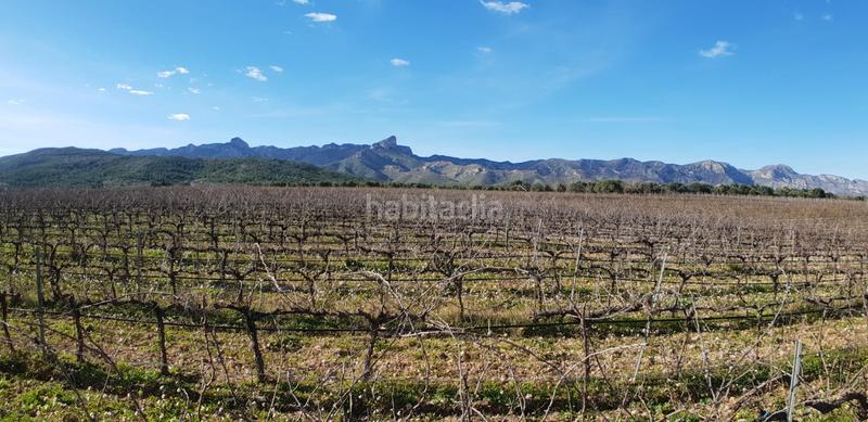 Foto 94de0828-0387-427f-a9af-dd4ca58eb762. Masia a Perelló (El)