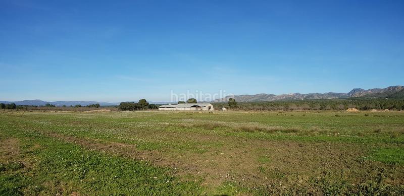 Foto 9735d9b7-ea9b-4b88-baf5-449f6ebe749a. Masia a Perelló (El)