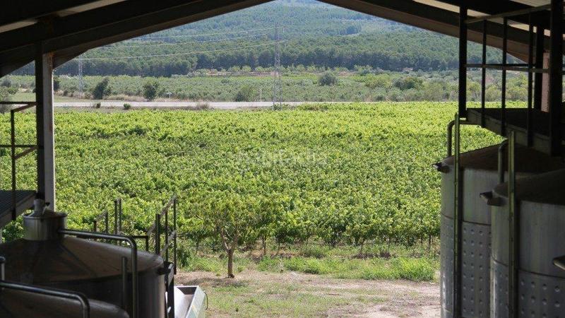 Foto aced6d17-32f5-4247-bda8-46e8673f5c3c. Masia a Perelló (El)