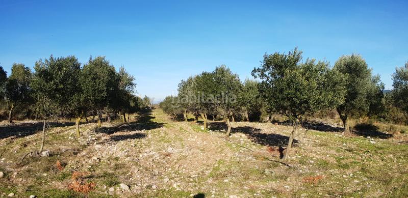 Foto ae0c7a36-1be6-4ec0-b89c-102164d4eac2. Masia a Perelló (El)