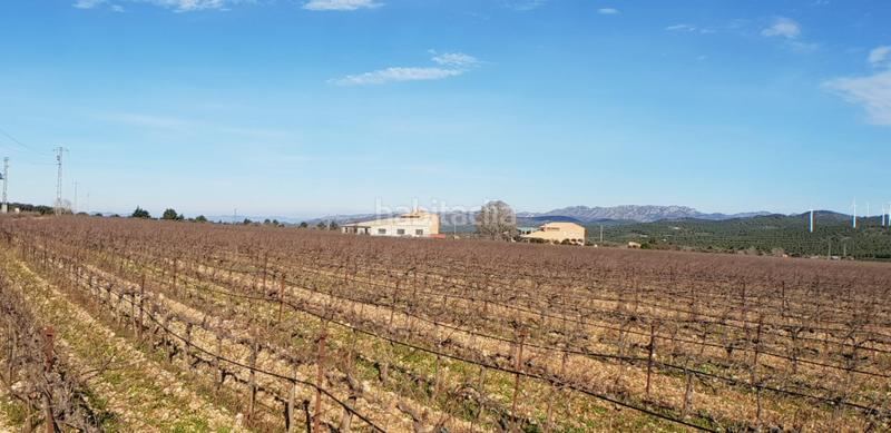 Foto b6d19fca-767a-4f27-ae1a-06ba03da2195. Masia a Perelló (El)