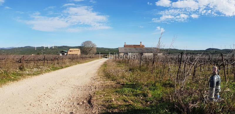 Foto cd58c494-0dcb-42d3-9633-372f2b07f178. Masia a Perelló (El)