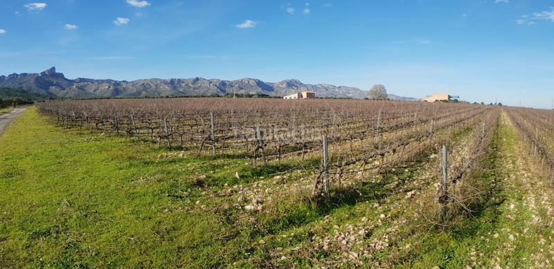 Foto cea8ff83-b31f-4946-9e92-b64bf872f261. Masia a Perelló (El)