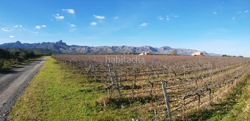 Foto d7f2a5af-5921-4474-9ee9-f866bae33ba4. Masia a Perelló (El)