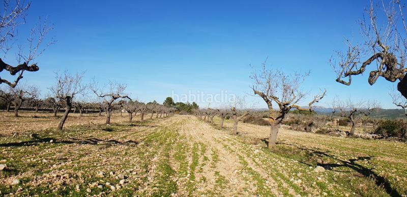 Foto e3c8bc4b-d417-499a-a54f-44d817b1e127. Masia a Perelló (El)