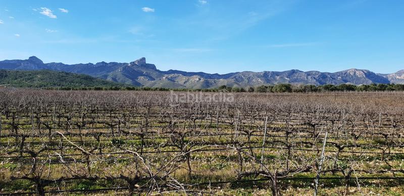 Foto ecfdc225-5861-4655-8172-582affa952d0. Masia a Perelló (El)