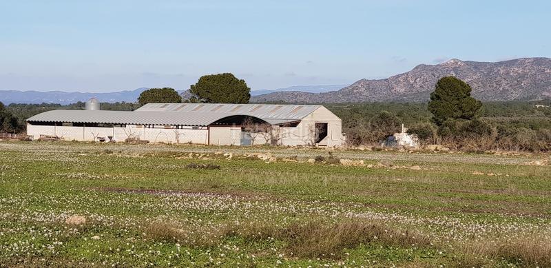 Foto f48b2020-df44-41c3-960b-c05f7352b14b. Masia a Perelló (El)