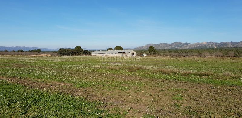 Foto f6cc2ed0-0cb8-4b45-858b-48744eca8af0. Masia a Perelló (El)