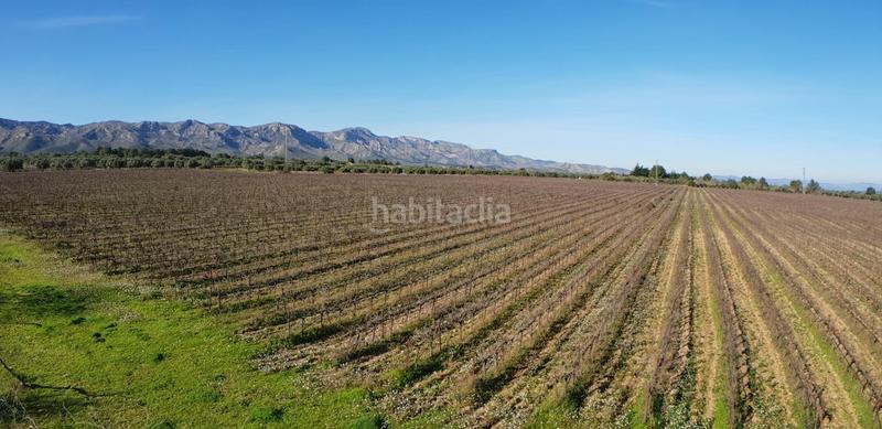 Foto fbbd1b4f-6050-47a2-83c8-4811b5d15241. Masia a Perelló (El)