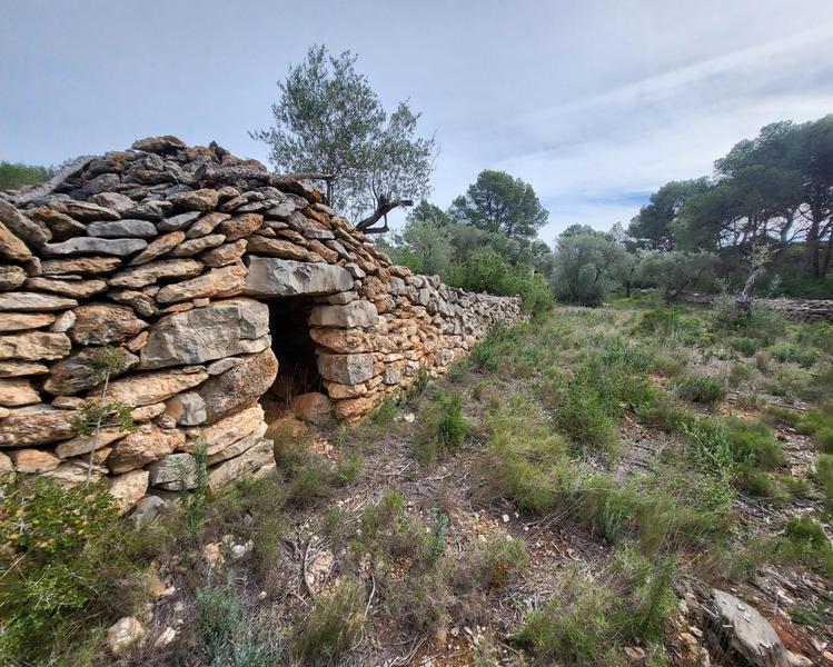 Foto 2d8da8a4-2ecb-4e01-899d-c1a45bd03b53. Masia a Perelló (El)