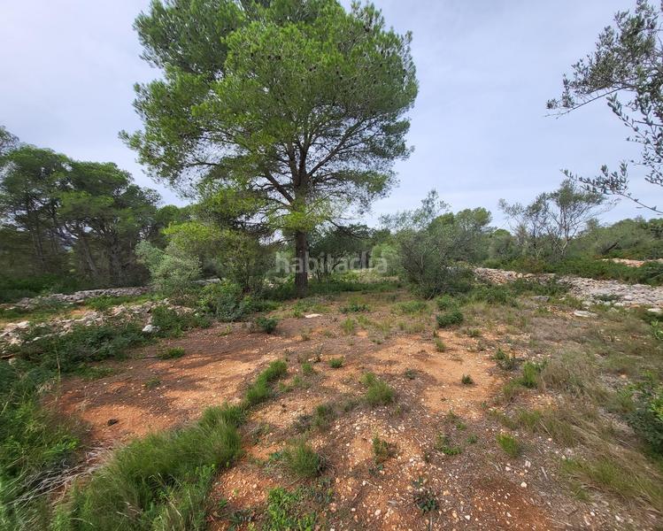 Foto 5eec0cac-dbbc-4b25-ae2a-e35898c61cfd. Masia a Perelló (El)