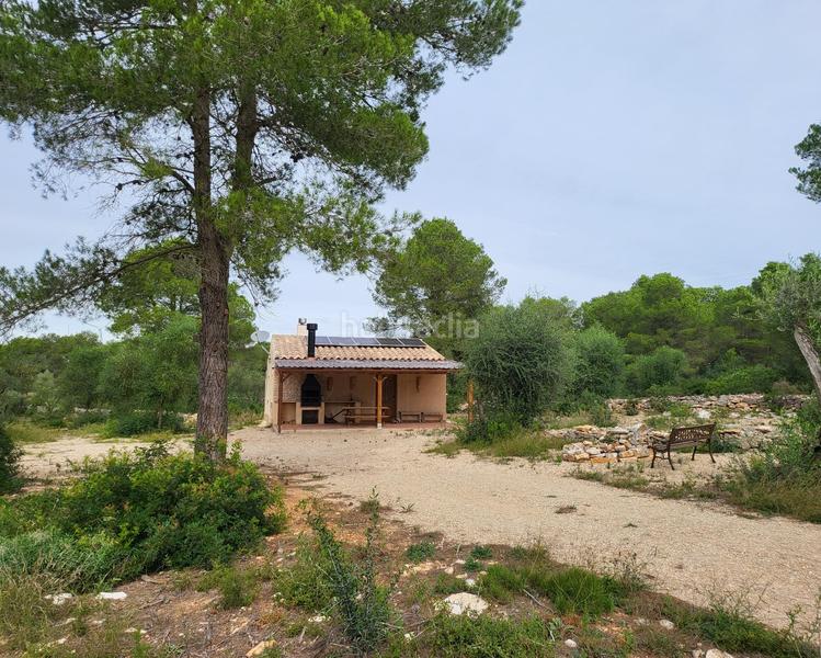 Foto 7fd53e3f-7808-4099-a133-ecd0f433b6d3. Masia a Perelló (El)