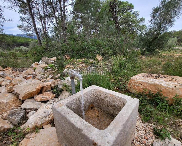 Foto 85d03370-269e-4642-8fad-6f332ebb01eb. Masia a Perelló (El)