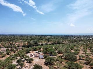 Country house in Ampolla (L´). Encantadora finca rústica con olivos centenarios a 3,5 km de la