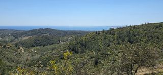 Mas�a en Perell� (El). Oportunidad �nica finca r�stica con vistas al mar y la monta�a e