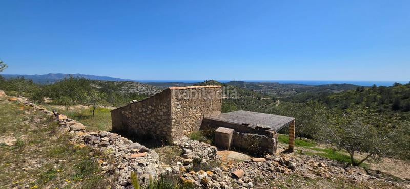 Foto 19db6e3f-f9ed-49a6-9229-4173109d971c. Masia a Perelló (El)