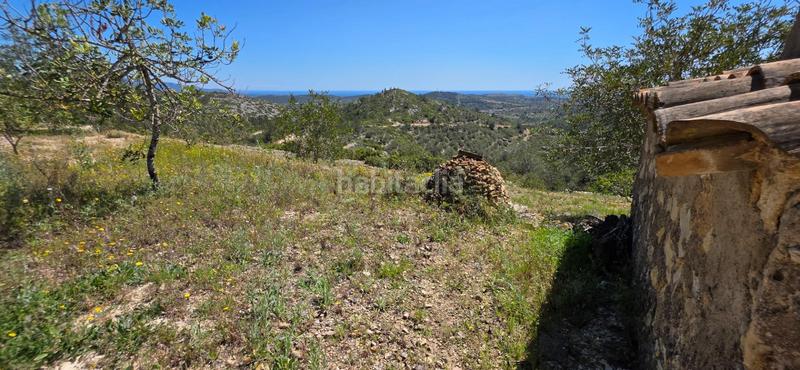 Foto 29a0b2d6-e8a1-4c8e-a8ae-9df959e62a5f. Masia a Perelló (El)