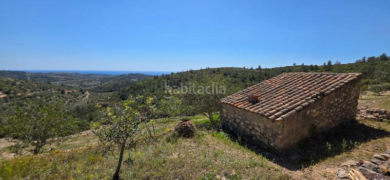 Foto 2f03d793-38ce-438a-bdb7-00bb3dfc0009. Masia a Perelló (El)