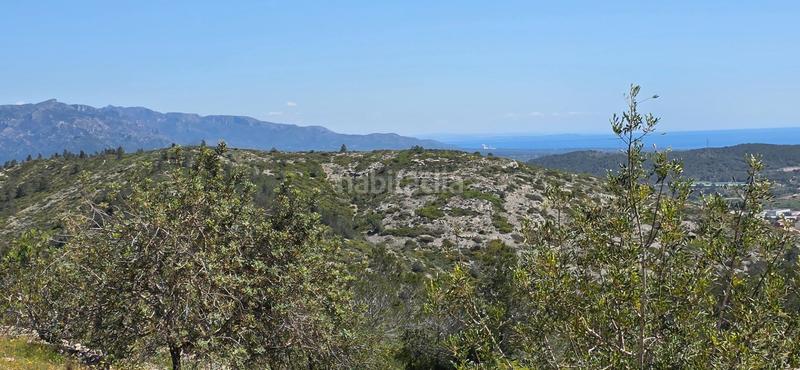 Foto 41d20c5a-192c-4ab4-a7c9-f1bb6919eaf5. Masia a Perelló (El)