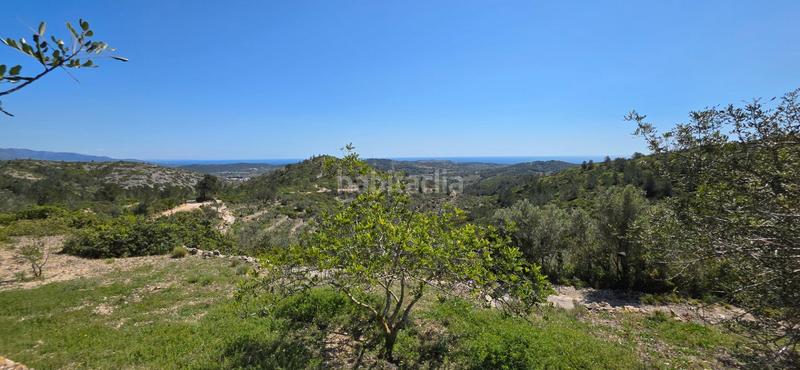 Foto 4dbd8321-401f-4fc1-b80c-034bceae2789. Masia a Perelló (El)