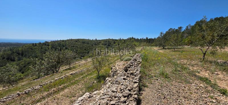 Foto 6b1f65d0-ad8a-438c-8420-d250019ba976. Masia a Perelló (El)