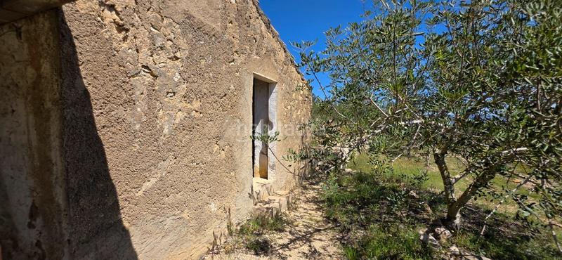 Foto 75ccd7eb-c3c7-410a-aa95-b8ce4e55ede6. Masia a Perelló (El)