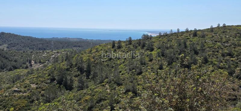 Foto 862bc828-c6a5-42ea-9632-3c533568b6cf. Masia a Perelló (El)