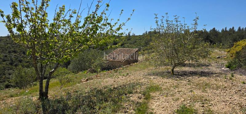 Foto a781de62-6f7c-4b11-a977-f3f08550aee1. Masia a Perelló (El)