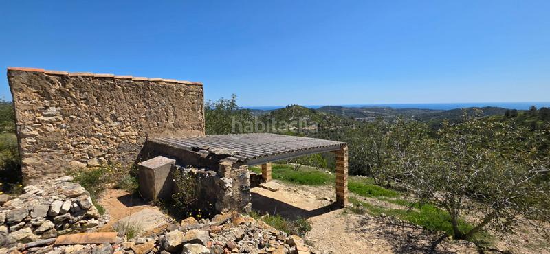 Foto a997381e-a49b-4ed1-a663-832c29437abe. Masia a Perelló (El)