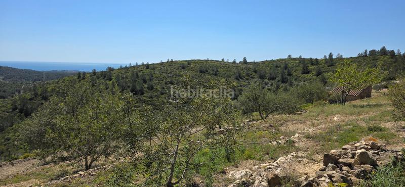 Foto acaafcc7-0b5b-4ba2-af7d-8a52e19a625b. Masia a Perelló (El)