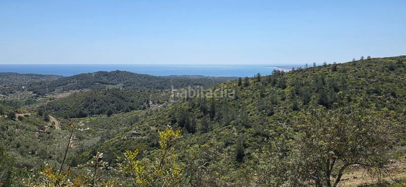 Foto c103706e-050a-4ce9-a5d5-2817995e2c69. Masia a Perelló (El)